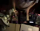 jel - sweetcreaminit live bedroom mix