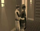 遙か　sims2  永泉とセフルの事情