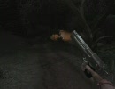 ライオンのいないFarcry2でマラリアに罹るPart34