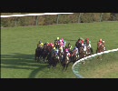 2009年 第14回東京スポーツ杯2歳ステークス（GIII）