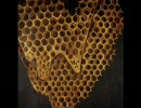 TELEFON TEL AVIV - ttv