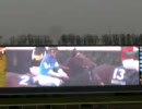 【のび太】競馬予想動画　　マイルCSの観戦動画です