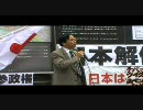 【チャンネル桜】 11.22 外国人参政権抗議活動～ＮＨＫ抗議活動 (1/9)