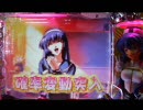 【パチンコ】CR機動戦艦ナデシコ RX【№30】