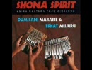 Dumisani Maraire & Ephat Mujuru - Chemutengure