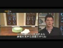 おしゃれ収納術 #04