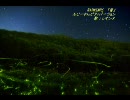 【レオンヌ】RADWIMPS 『螢』【歌ってみた】