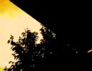 【偽りの】celluloid　歌ってみた【残業】