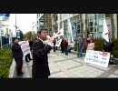 11月28日【関西支部】河野談話の白紙撤回署名活動 ⑫