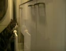 イリュージョン猫