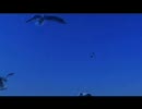 パワポ用　～エンコ前～