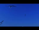 パワポ用　～エンコ後～