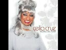 Celia Cruz - Yo Vivire