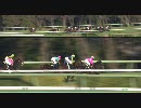 2009年 ターコイズステークス