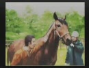 【実況】2009年、フリーターは馬主になった。その５２