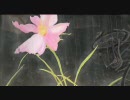 【AMV】Too bad【鉄コン筋クリート】