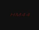 20091208ＨＭ４４1