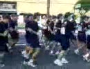 ゴーヤ隊