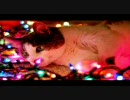 クリスマスっぽいクラシック詰め合わせ