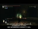 デモンズソウル 難易度カンスト･傾向最黒で攻略 ～王城2～
