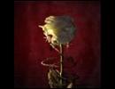Heaven Shall Burn-Improve The Darken Sky