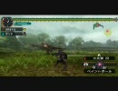あまのじゃくがボウガンだけ担いでMHP2Gを実況プレイ　G級その１の２