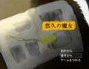 病人が集まって作った鬼畜RPGをテストプレイpart24