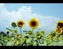 【ピアノ】　夏空 　【インスト曲】