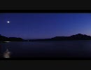 動画テスト
