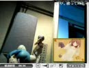 【DEAR てた】誕生日記念放送【サプライズ企画】(6/7)