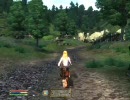 Oblivion とあるエルフの冒険録 part29