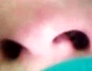nose play