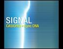 CASIOPEA with Synchronized DNA_MIST