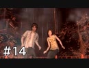 【実況】頑張ってSIREN2クリアするよ　part14
