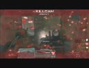 【CoD　MW2】かわいそうな人が地上戦　TDM　パート4【XBOX360】
