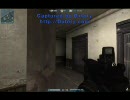 Alliance of Valiant Arms SNAKE EYE (NIGHT) with Spectre M4, M14 EBR and FR-F2
