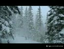 The Spirit of Christmas~Music by Ray Charles