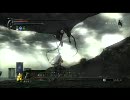 暇な大学生がデモンズソウルを初プレイ実況してみたpart47-2