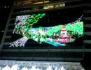 名古屋　タワーズライツ　2009