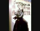 Fear of Tigers - Sirkka