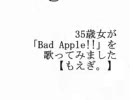 35歳女が東方「Bad Apple!!」を無謀にも歌ってみました。【もえぎ。】