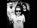 Terrorvision - Perseverance