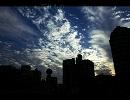 Sky 《忘れもの》
