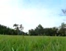 長野県在住VIPPERがブーンをやってみた。（VIP）