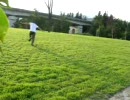 長野県在住VIPPERがブーンをやってみた。その２（VIP）
