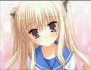 2009年最後か2010年最初を狙った動画　その２
