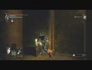 本能と直感で生きている俺がDemon's Soulsを実況プレイpart12