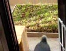 aaa