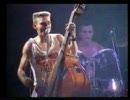 Long Tall Texans／Get Back Wet Back