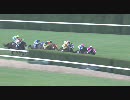 2010年 新春ステークス